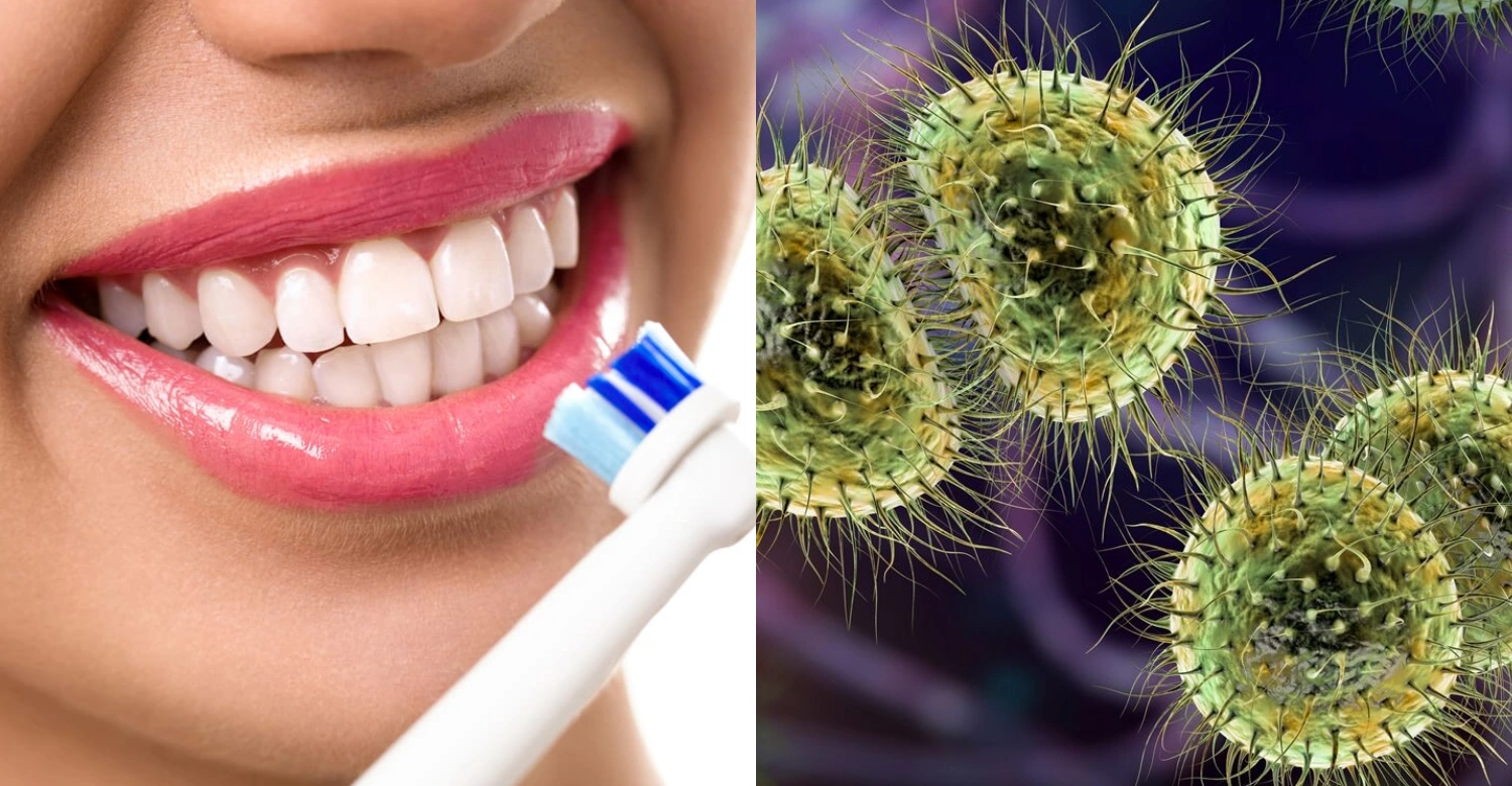 Meningococcal Disease and Oral Health inblog